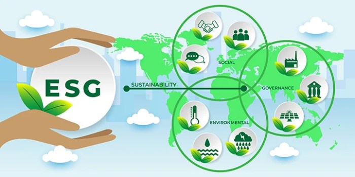 Environmental esg circles melbourne gobernanza governance economics domains ecology pillar bottom cities criteria compact issues use economy infrastructure consultant