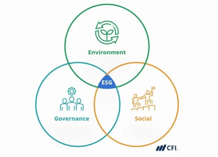 The role of ESG (Environmental, Social, Governance) in sustainable investing